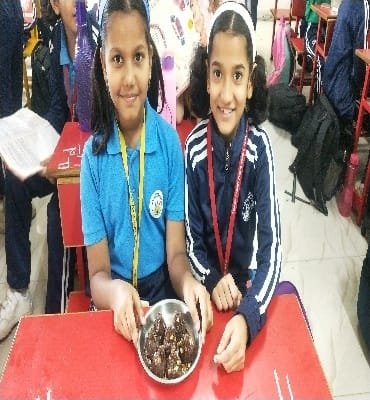 Activity image