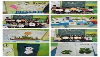 Activity image